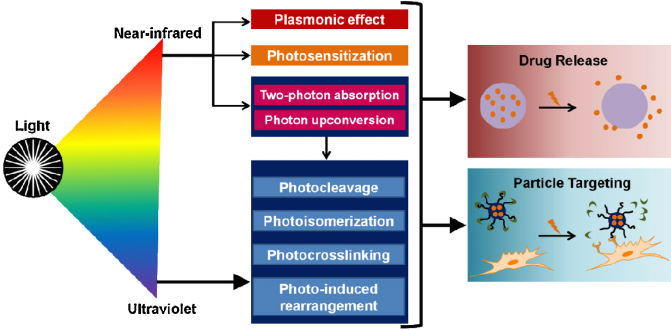 Mechanisms of photoresponsiveness for nanoparticle targeting and drug release.